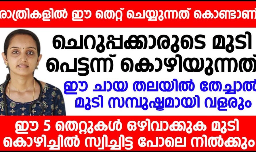 നിങ്ങളെ അലട്ടുന്ന പ്രശ്നം മുടികൊഴിച്ചിൽ ആണ് എങ്കിൽ അതിന് ഉഗ്രൻ പരിഹാരം ഉണ്ട്