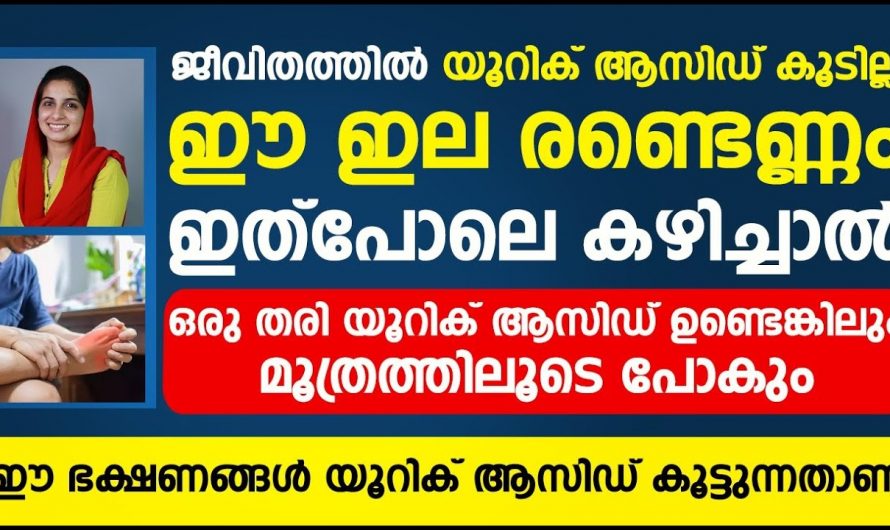 എത്ര കൂടിയ യൂറിക്കാസിഡും ഇനി നോർമൽ ആകാൻ ഇതു മതി