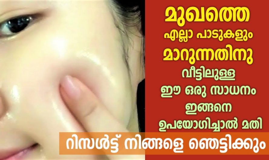 വെറും ഒരു തക്കാളി മതി നിങ്ങൾ ഞെട്ടുന്ന റിസൾട്ട് ഉണ്ടാകും