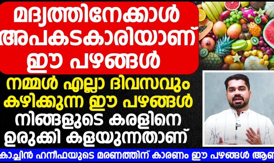 മദ്യം അല്ല യഥാർത്ഥ വിഷം അതിനേക്കാൾ ഭീകരമാണ് ഈ പഴങ്ങൾ