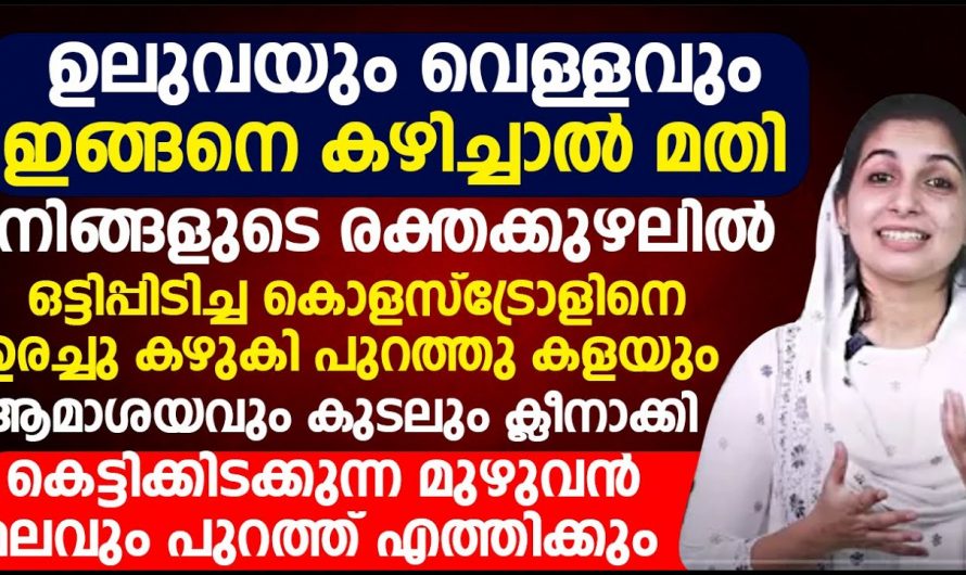 നിങ്ങൾക്കറിവുണ്ടോ ദിവസവും ഉലുവ ഇങ്ങനെ കഴിച്ചാൽ ഉള്ള ഗുണങ്ങളെക്കുറിച്ച്