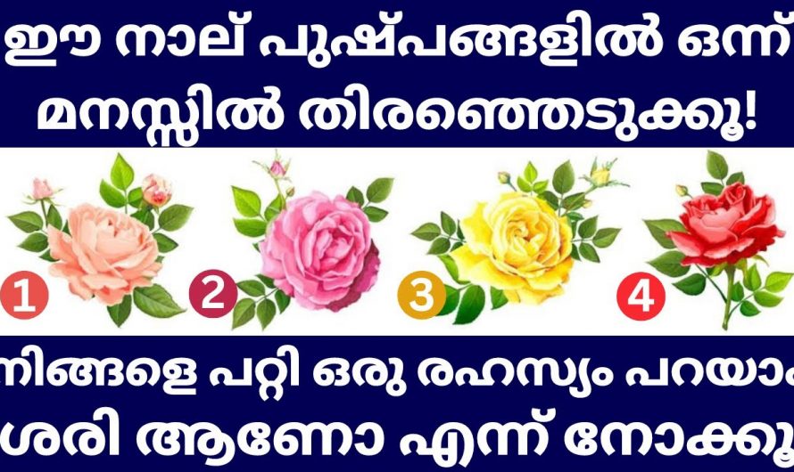 നിങ്ങൾ ഏത് രീതിയിലുള്ള ആളാണെന്ന് ഒരു മിനിറ്റ് കൊണ്ട് ഉറപ്പിക്കാം