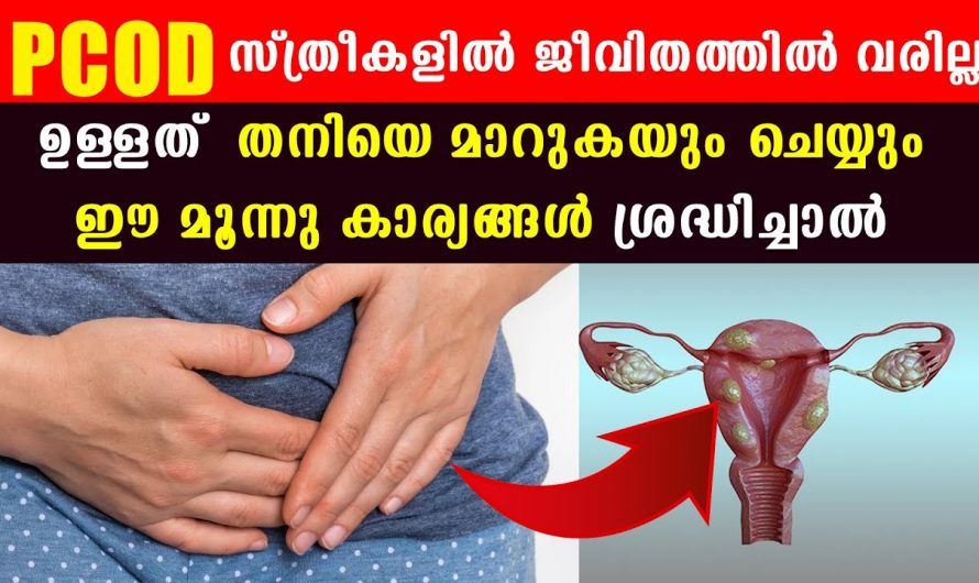 നിങ്ങളും പിസിഒഡി കൊണ്ട് പ്രയാസപ്പെടുന്നവരാണ് എങ്കിൽ നിങ്ങളുടെ വീട്ടിൽ ഈ കാര്യങ്ങൾ ശ്രദ്ധിച്ചാൽ തന്നെ മാറ്റിയെടുക്കാം