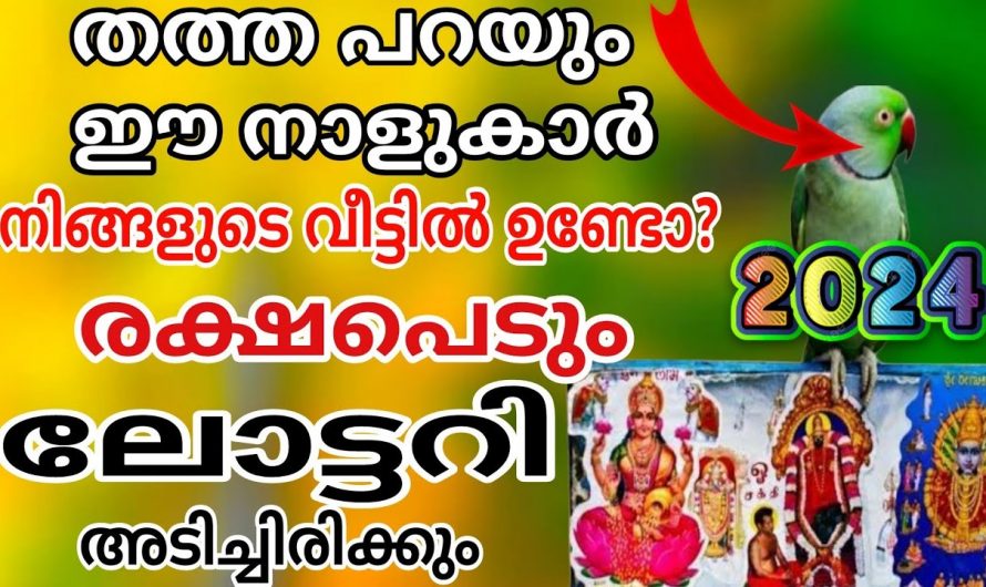 2024 ഉറപ്പായും ലോട്ടറി ഭാഗ്യമുണ്ടാകാൻ പോകുന്ന നക്ഷത്രക്കാർ