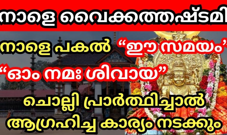 നാളത്തെ ദിവസം ഇങ്ങനെ ചെയ്താൽ വൈക്കത്തപ്പന്റെ അനുഗ്രഹം ഉറപ്പാണ്