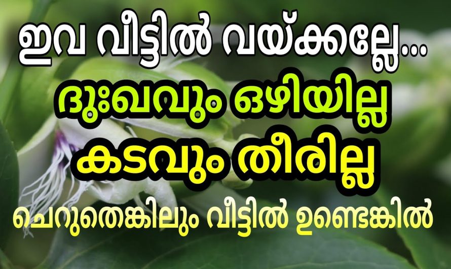 ഈ ചെടിയുടെ സാന്നിധ്യം തന്നെ എല്ലാം കുഴപ്പത്തിലാക്കും