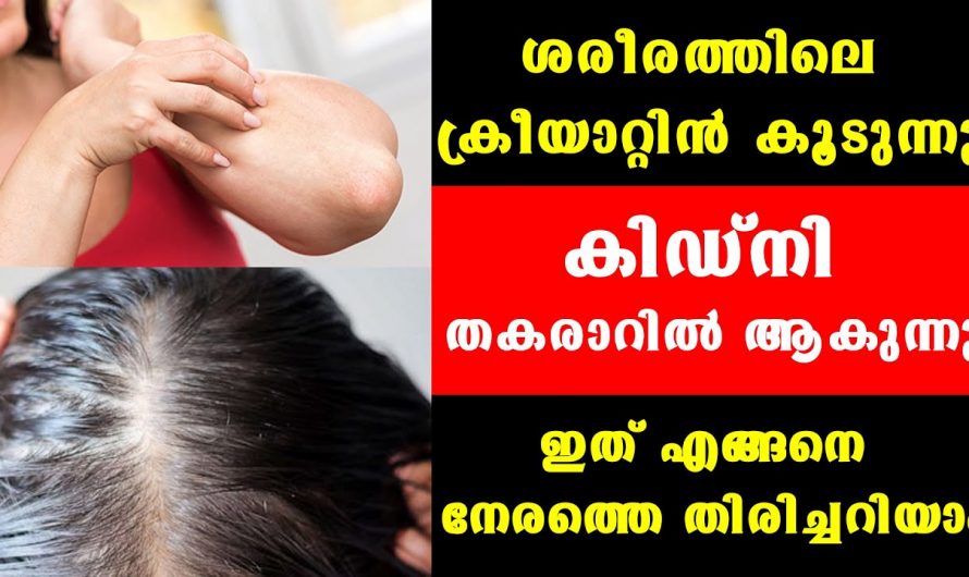 ഉറപ്പായും ഈ ലക്ഷണങ്ങൾ ഉണ്ടെങ്കിൽ നിസ്സാരമാക്കേണ്ട നിങ്ങളുടെ കിഡ്നി തകരാറിലാണ്