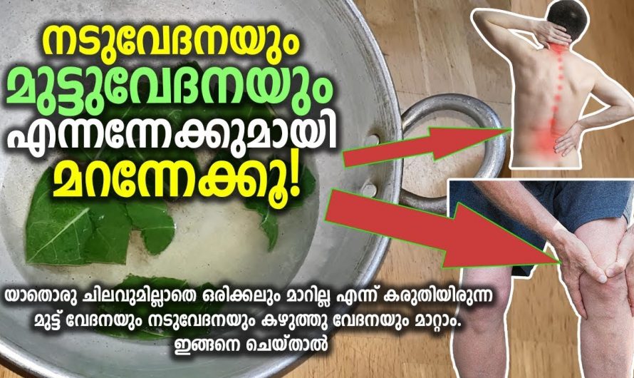 ഇനി വേദന നിങ്ങളുടെ ഓർമ്മയിൽ പോലും ഉണ്ടാകില്ല