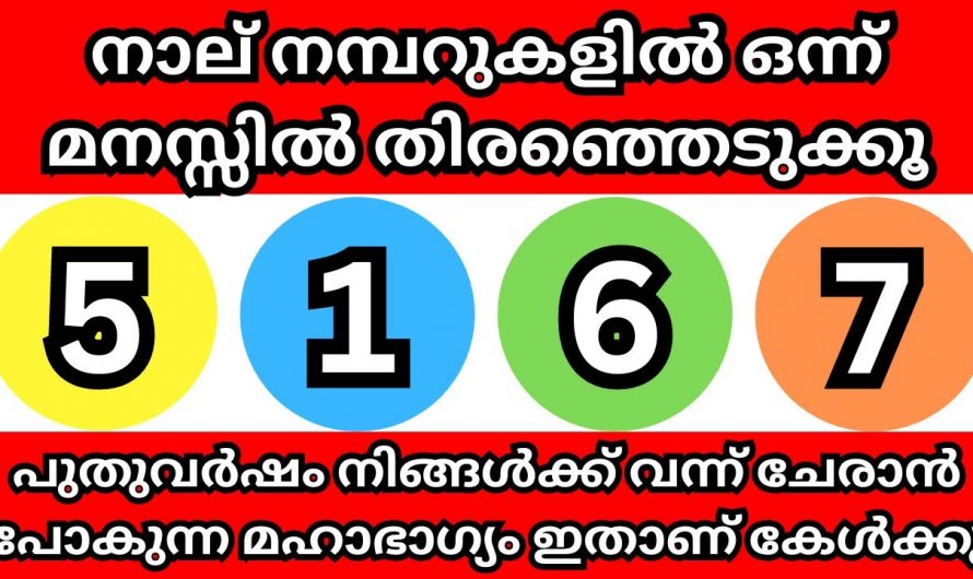 ഉറപ്പാണ് ഈ സംഗതികളിൽ ഒന്ന് നിങ്ങളെ സന്തോഷിപ്പിക്കും