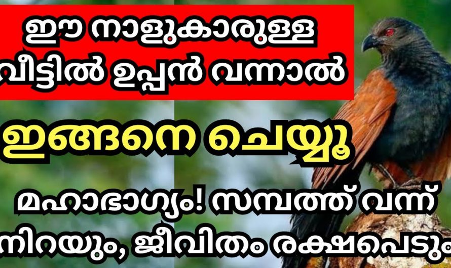 ഈ നക്ഷത്രക്കാരുടെ വീട്ടിൽ ഉപ്പൻ വന്നാൽ ചെയ്യേണ്ടത് ഇങ്ങനെയാണ് നിങ്ങളുടെ മഹാഭാഗ്യമാണ്