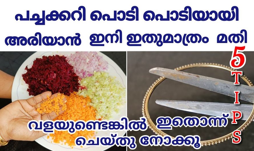 മാംസം ഇനി നാളുകളോളം  കേടാകാതിരിക്കും