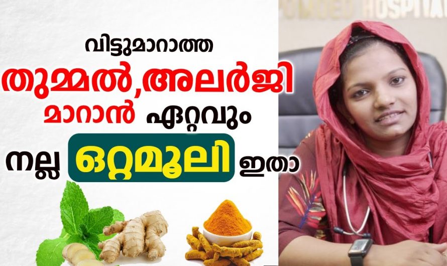 ഈ ഒരൊറ്റ കാര്യം അറിഞ്ഞാൽ നിങ്ങളുടെ ഏത് അലർജിയും നിസ്സാരമായി മാറ്റാം