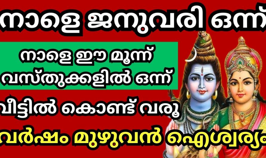 നാളെ ഈ വസ്തുക്കൾ വീട്ടിൽ വാങ്ങിയാൽ ഐശ്വര്യം ഉറപ്പാണ്