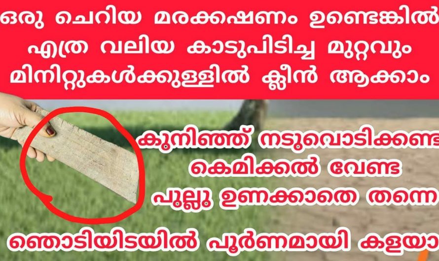 ഒരു ചെറിയ മരക്കഷണം ഉണ്ടോ എങ്കിൽ പുല്ല് പോകാൻ ഇനി എന്തെളുപ്പം