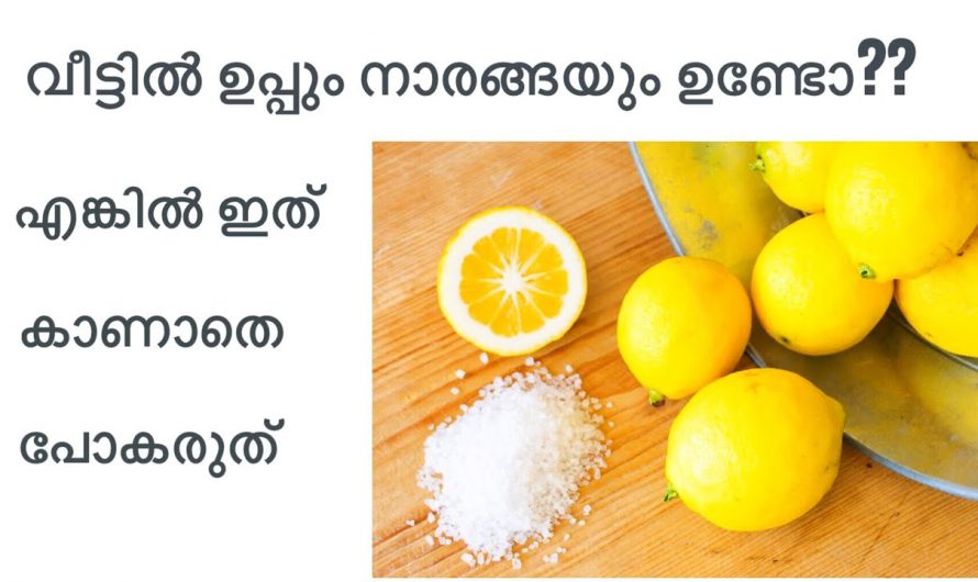 ഇത്രയും റിസൾട്ട് ഉണ്ടാകുമെന്ന് നിങ്ങൾ ചിന്തിച്ചു പോലും കാണില്ല