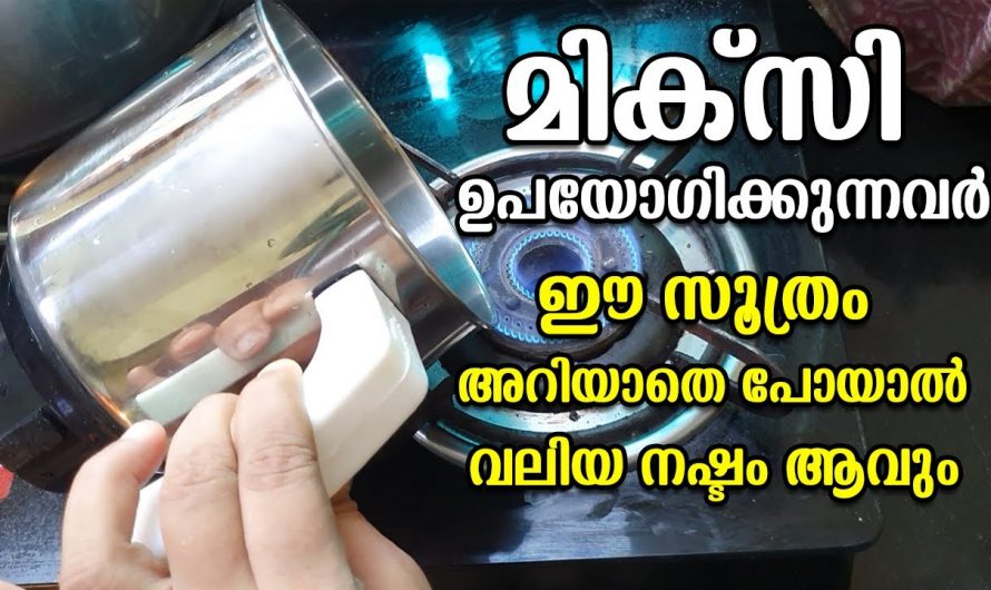 ഇതറിയാതെ നിങ്ങൾ ഇനി മിക്സി ഉപയോഗിച്ചാൽ വലിയ നഷ്ടമാണ്