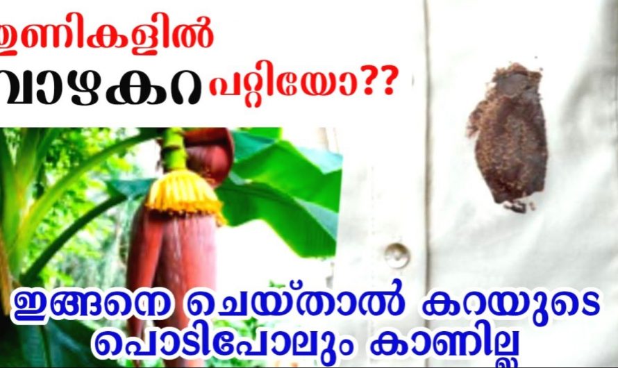 കറ അത് എത്ര കഴുത്തതാണെങ്കിലും ഇങ്ങനെ ചെയ്താൽ ഇനി കാണില്ല