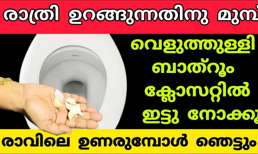 കക്കൂസിൽ വെളുത്തുള്ളി ഒരു പ്രയോഗം, ഉറപ്പായും നിങ്ങൾക്ക് ഇഷ്ടപ്പെടും