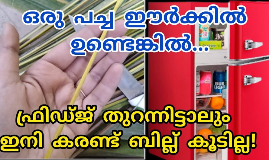 ഈ ഒരു മിക്സ് മതി നിങ്ങളുടെ അടുക്കളയും അകതളങ്ങളും മനോഹരമാകും