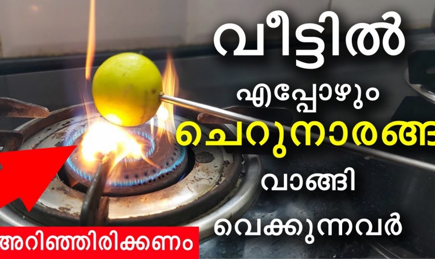 ഇതറിഞ്ഞാൽ വീട്ടിൽ ഇനി എപ്പോഴും ചെറുനാരങ്ങാ സ്റ്റോക്ക് വയ്ക്കും