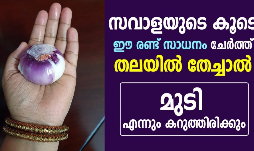 നിങ്ങളുടെ മുടി ഇനി പ്രായമായാലും നരക്കില്ല, സബോള ഇങ്ങനെ ഉപയോഗിച്ചാൽ മതി