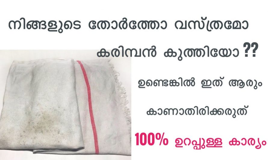 വെളുത്ത വസ്ത്രങ്ങളിലെ കറുത്ത കരിമ്പനകൾ ഇനി പ്രശ്നമല്ല