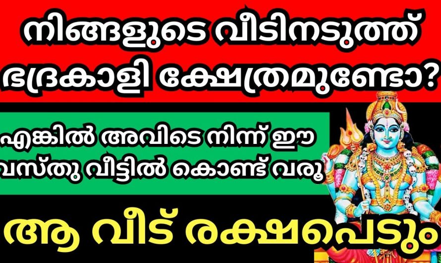 ക്ഷേത്രത്തിൽ നിന്നും ഇത് നിങ്ങളുടെ വീട്ടിൽ കൊണ്ടുവന്നാൽ തന്നെ ഐശ്വര്യമാണ്