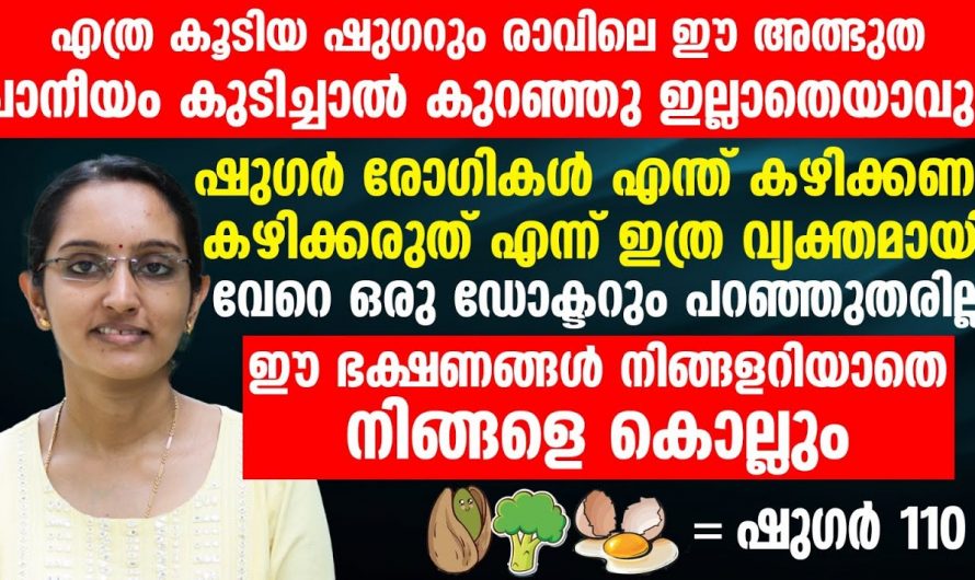 പ്രമേഹം എന്ന നിശബ്ദ കൊലയാളിയെ നേരിടാൻ ഇതിലും നല്ല ഡയറ്റ് പ്ലാൻ വേറെ ഇല്ല