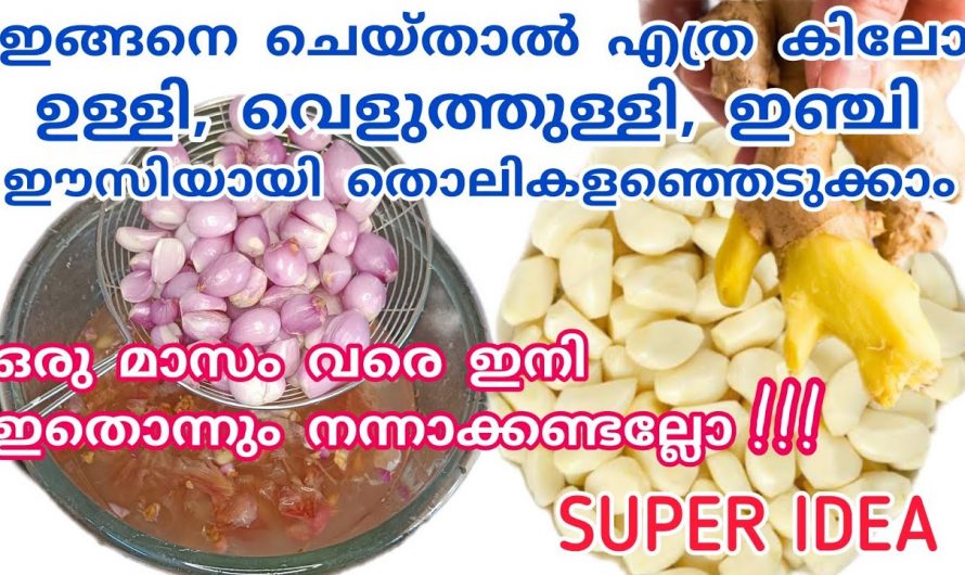 ഇങ്ങനെ ചെയ്താൽ ഇനി മാസങ്ങളോളം ഇഞ്ചി വെളുത്തുള്ളി കേടാകില്ല