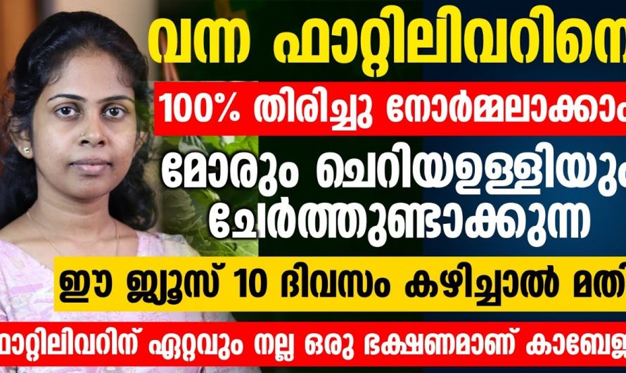 എങ്ങനെ ഫാറ്റി ലിവറിനെ തിരിച്ച് പഴയ അവസ്ഥയിലേക്ക് കൊണ്ടുവരാം