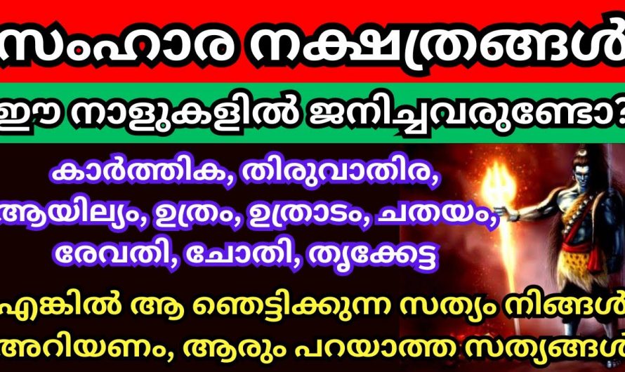 ഈ സംഹാര നക്ഷത്രക്കാർ നിങ്ങളുടെ വീട്ടിലും ഉണ്ടോ