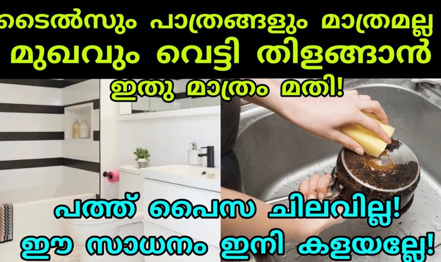 ഇനി ഓറഞ്ചിന്റെ തൊലി അങ്ങനെ വെറുതെ കളയണ്ട