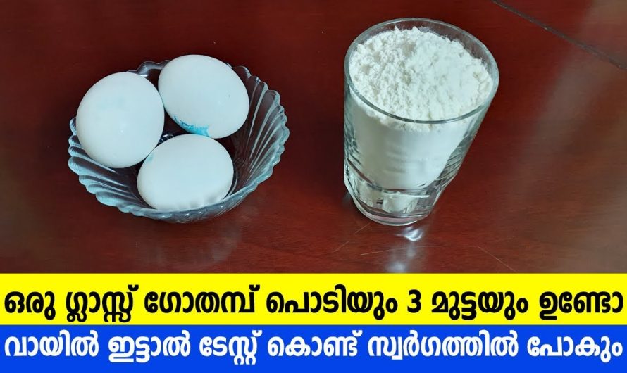 കയ്യിലുള്ള സാധനങ്ങൾ വെച്ച് ഈസിയായി ആർക്കും ഉണ്ടാക്കാം ഇത്