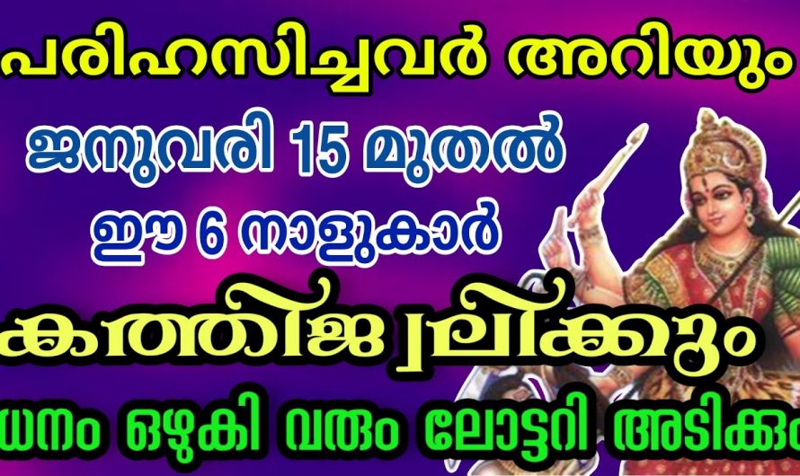 പുച്ഛിച്ചവരും പരിഹസിച്ചവരും ഇനി മാറ്റിപ്പറയും ഇനി നിങ്ങളുടെ നാളുകളാണ്