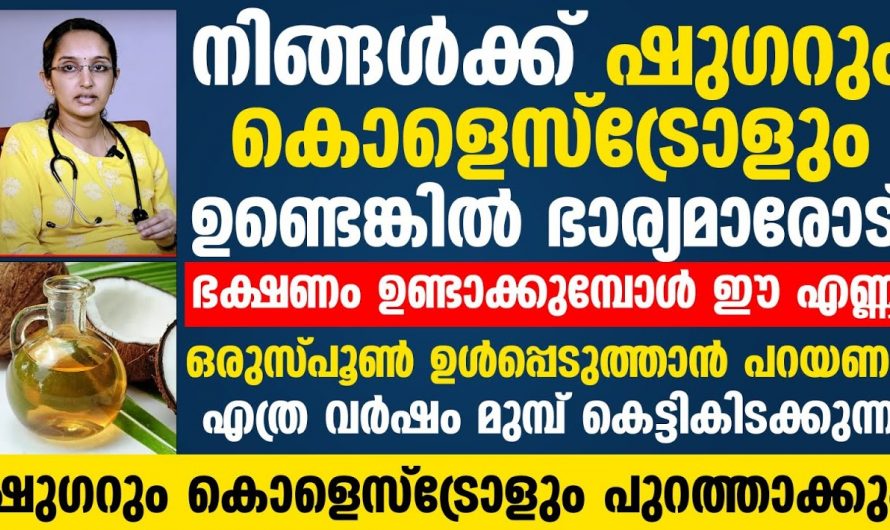 പ്രമേഹം ഉള്ളവർ അറിഞ്ഞിരിക്കൂ പഞ്ചസാരയേക്കാൾ വലിയവിലൻ മറ്റൊരാൾ