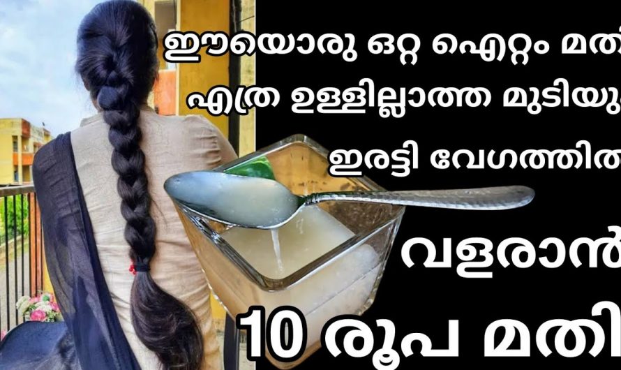 പനങ്കുല പോലെ  ഇടത്തൂർന്ന മുടി സ്വന്തമാക്കാൻ ഇനി നിങ്ങളും ഇങ്ങനെ ചെയ്യു