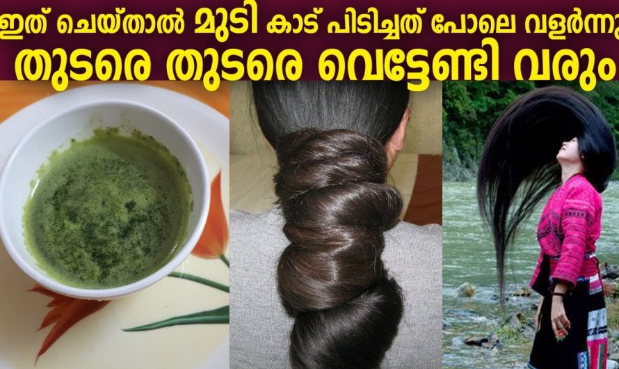 ഇത് ചെയ്താൽ പിന്നെ മുടി വെട്ടി നിങ്ങൾ തോൽക്കും