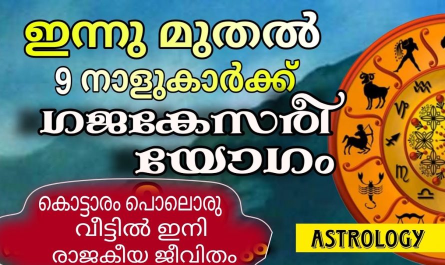 പിടിച്ചാൽ കിട്ടാത്ത ഉയരത്തിലേക്ക് പോകുന്ന ആ 9 നക്ഷത്രക്കാർ ഇവരാണ്