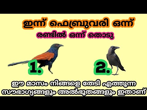 വലിയ സൗഭാഗ്യങ്ങൾ നിങ്ങളെ കാത്തിരിക്കുന്നു ഇവയിൽ ഒന്ന് തൊട്ടു നോക്കൂ