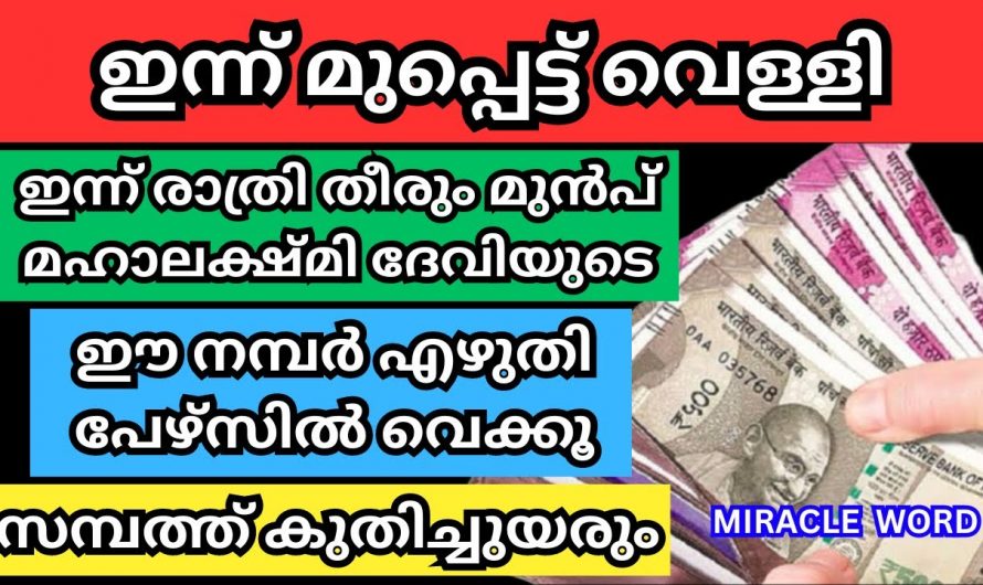 ഒന്നും പേടിക്കേണ്ട പേഴ്‌സിനകത്ത് ഈ ഒരു ഇല ഇങ്ങനെ വെച്ചാൽ നിങ്ങൾക്ക് ഇനി പണത്തിൽ കുളിക്കാം