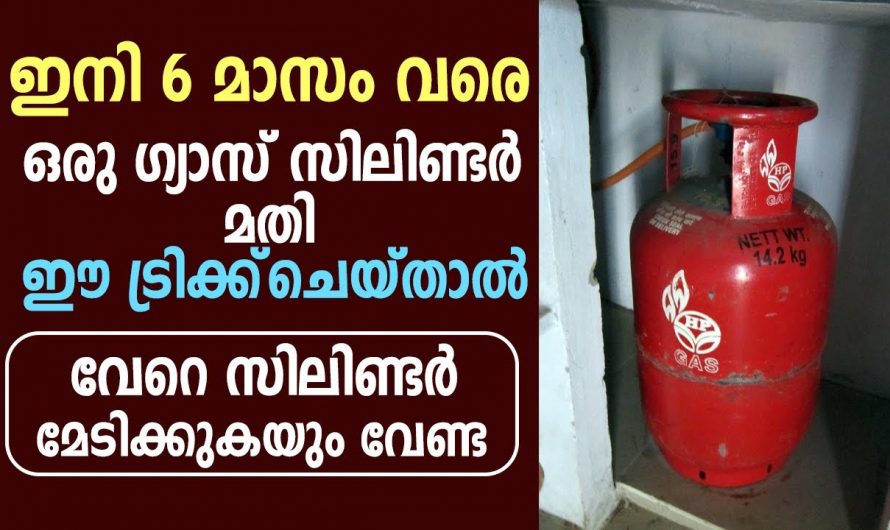 നിങ്ങൾക്കിത് വിശ്വസിക്കാനാകുമോ ഒരു ഗ്യാസ് കുറ്റി ഇനി ആറുമാസം വരെ ഉപയോഗിക്കാം