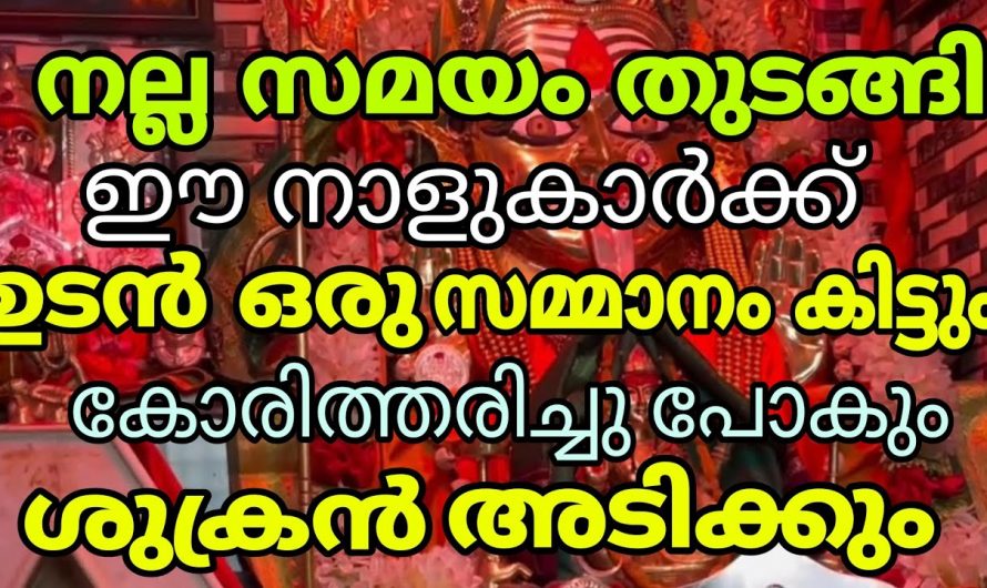 ഇത് നിങ്ങളുടെ ഭാഗ്യത്തിന് നാളുകളാണ്, ഇനി നിങ്ങൾക്ക് തിരിഞ്ഞുനോക്കേണ്ടി വരില്ല