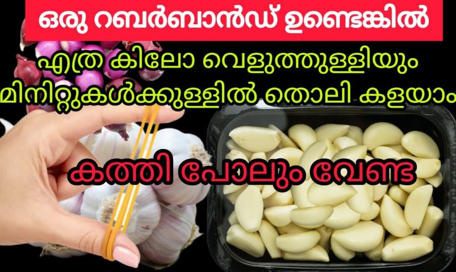 വെളുത്തുള്ളിയുടെ തൊലി കളയാൻ മടിയുള്ളവർ ഇതറിഞ്ഞാൽ സന്തോഷിക്കും