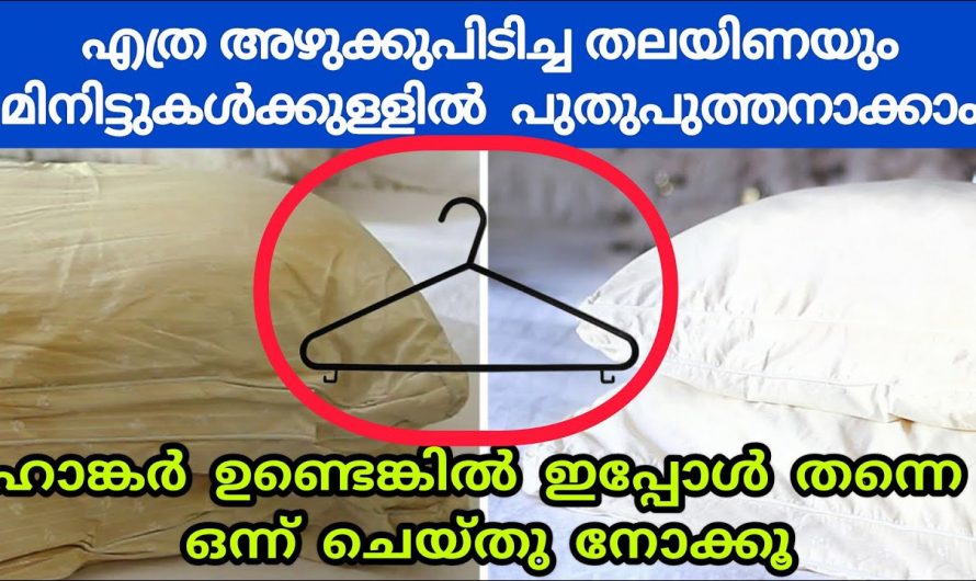 എത്ര മെഴുക്കുപിടിച്ച തലയണയും ഇനി പുതിയത് പോലെ ആക്കാൻ ഇങ്ങനെ ചെയ്യാം