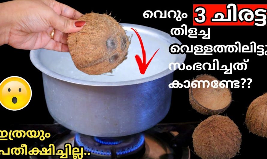 ആരും പ്രതീക്ഷിക്കാത്ത ഒരു ചിരട്ട സൂത്രം