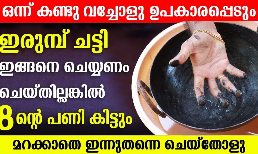 ഉപയോഗിക്കും മുമ്പ് ഇരുമ്പ് ചീനച്ചട്ടി ഇങ്ങനെ ചെയ്തില്ലെങ്കിൽ പണി കിട്ടും ഉറപ്പാണ്