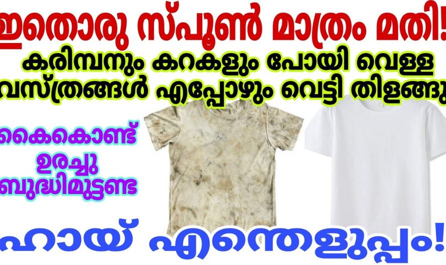 ഏത് കരിമ്പനും മാറും, പാല് പോലെ വെളുത്ത തുണികൾ ഇനി നിങ്ങൾക്കും സ്വന്തമാക്കാം