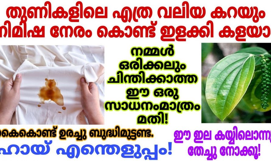 തേച്ചു കഷ്ടപ്പെടേണ്ട ഇനി വെളുത്ത വസ്ത്രങ്ങളെ മഞ്ഞൾ പോലും മാറിക്കിട്ടും