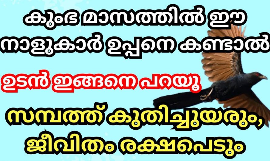 കുംഭത്തിൽ ഉപ്പനെ കണ്ടാൽ ഈ നക്ഷത്രക്കാർ ഉറപ്പായും ചെയ്യേണ്ടത്