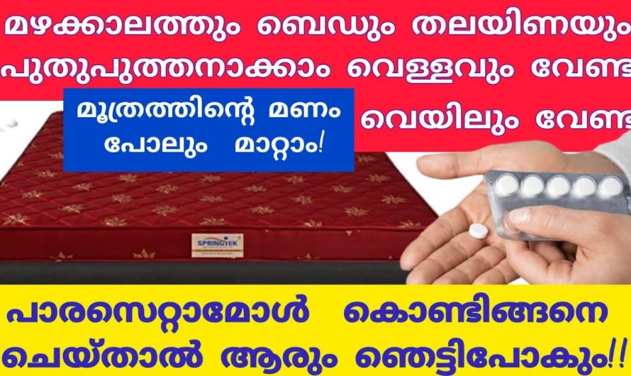 ഇനി ഒരുകാലത്തും നിങ്ങളുടെ ബെഡിൽ ദുർഗന്ധം വരില്ല